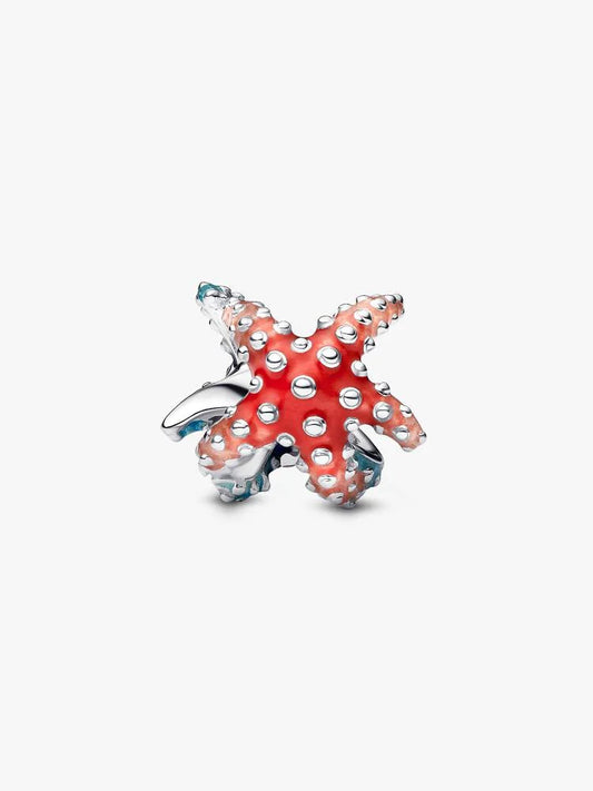 Colorful Starfish Charm