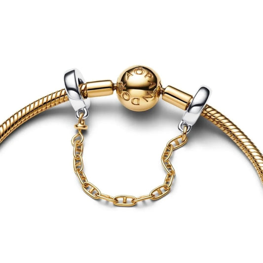 Silver and Gold Safety Chain